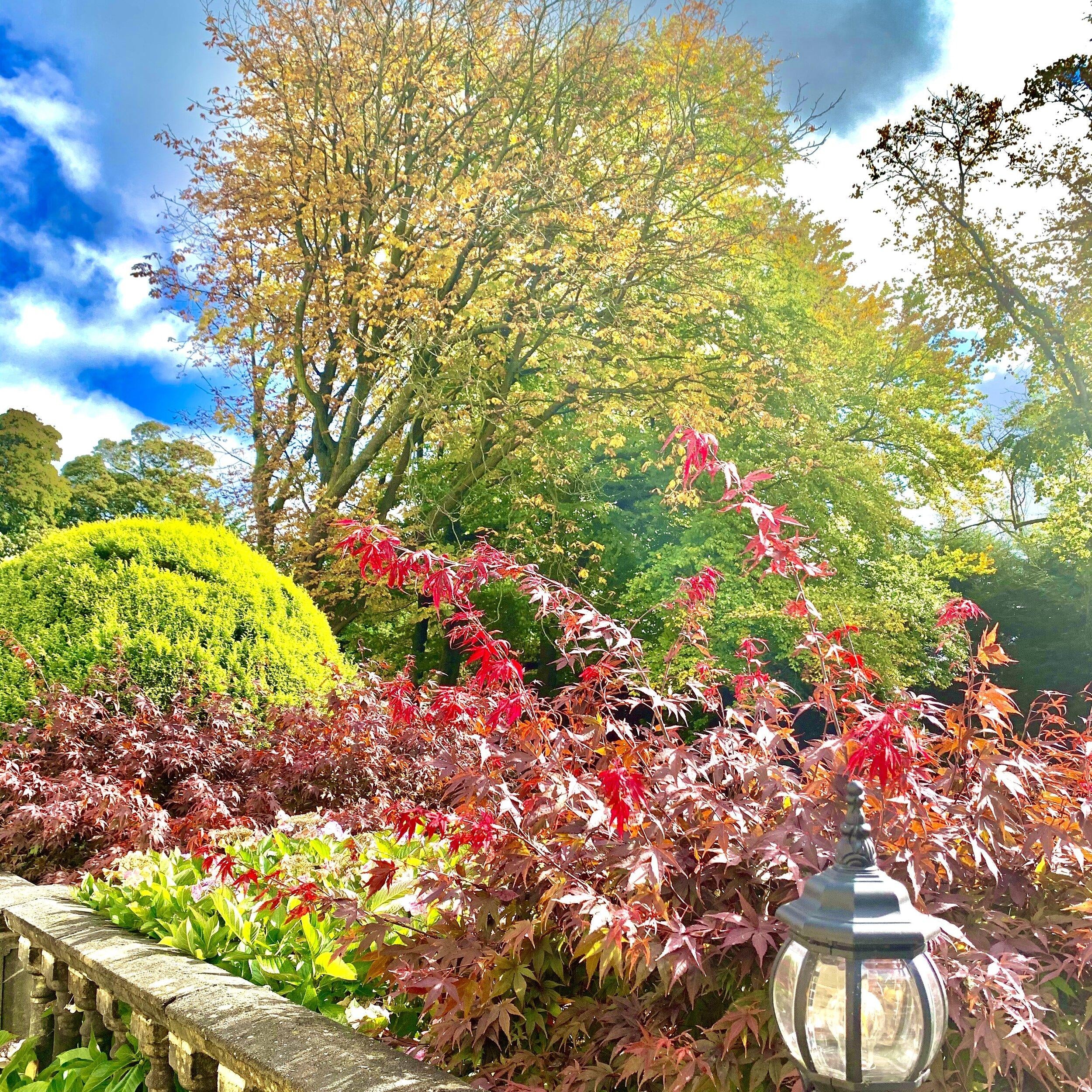 Autumn has arrived... and with it I have a weird confession to make.