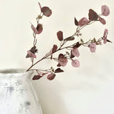 Autumn Plum Eucalyptus