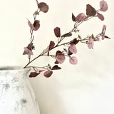 Autumn Plum Eucalyptus