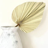 Bangalow Dried Palm Frond