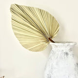 Bangalow Dried Palm Frond