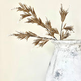 Taupe White Bottlebrush branch