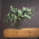 Eucalyptus Spray