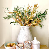 Autumn Gumnut Eucalyptus