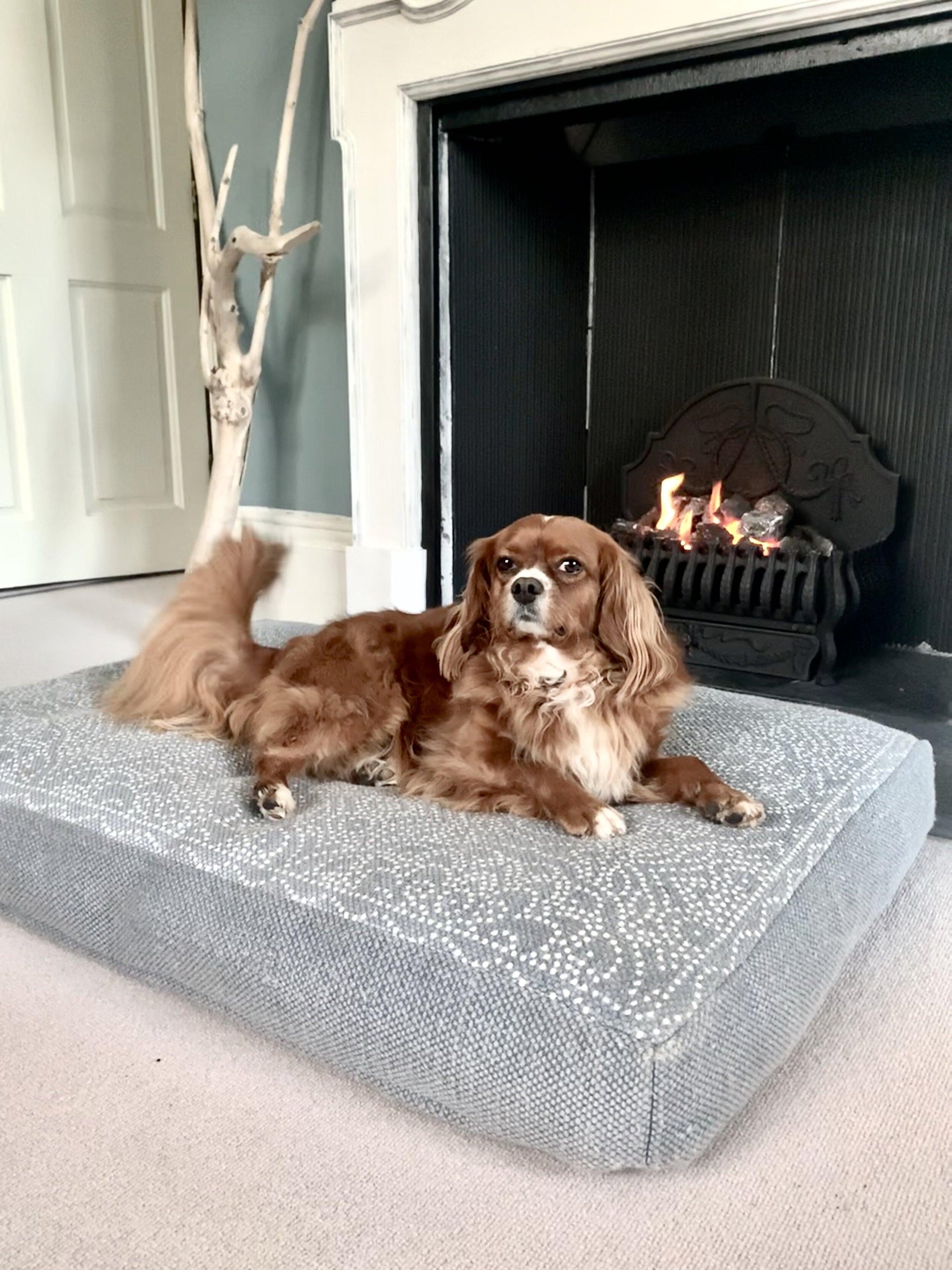 Milo nest dog bed on sale reviews