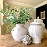 Lombok Ginger Jar