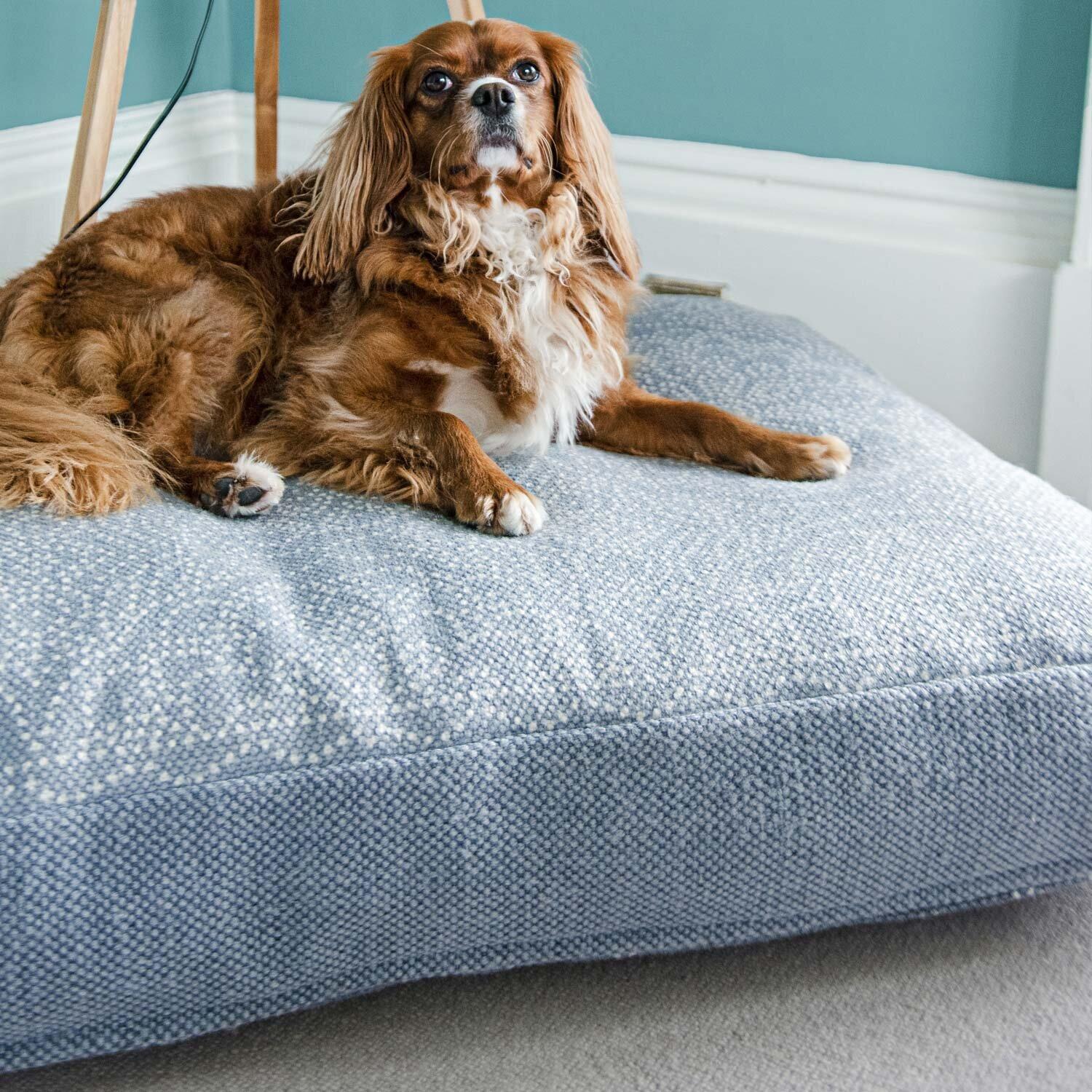 Dog bed hot sale floor cushion