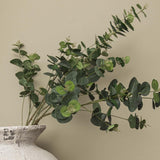 Eucalyptus Spray