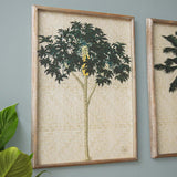 Tahiti Rattan Wall Art